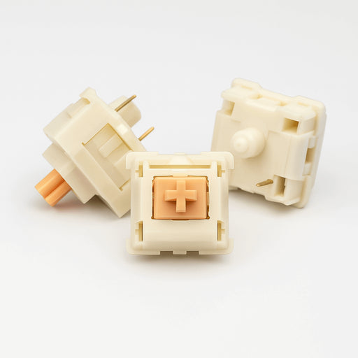 MMD V2 Holy Panda Review – Budget Alternatief