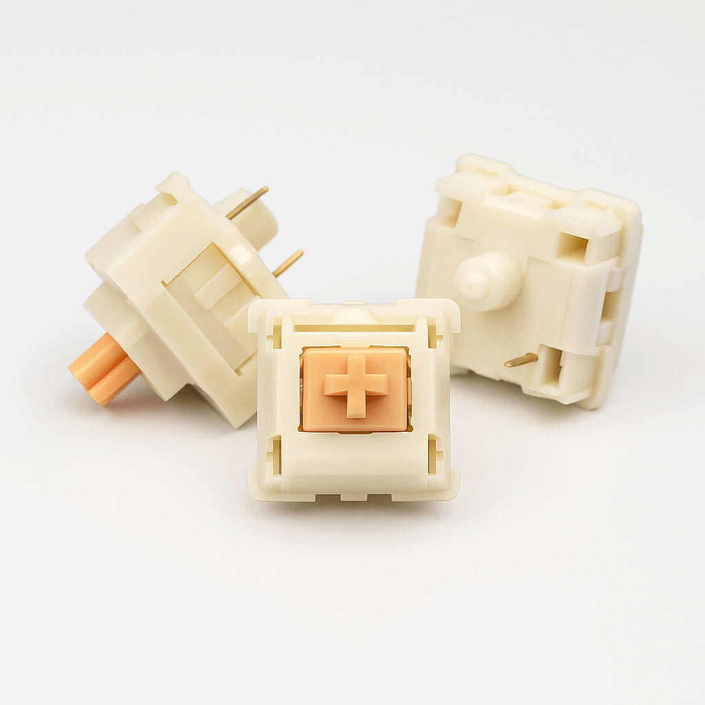 MMD V2 Holy Panda Review – Budget Alternatief