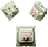 Gateron Smoothie Pink Silent Switches - Linear Silent - 30 pezzi