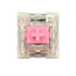 Top view of a Kailh Speed Pink mechanical switch showing the pink cross stem in a transparent housing.