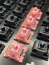 Close-up van KTT Rose switches op toetsenbord – roze switches naast zwarte toetsen