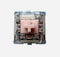 Gateron Melodic clicky mechanical keyboard switch