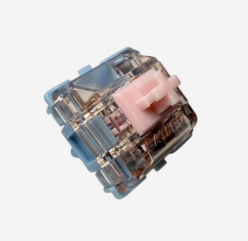 Gateron Melodic switch close-up with blue housing