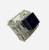 Kailh BOX Navy switch close-up with navy stem
