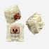 Gateron Brown Switches - Tactile - 30 pcs