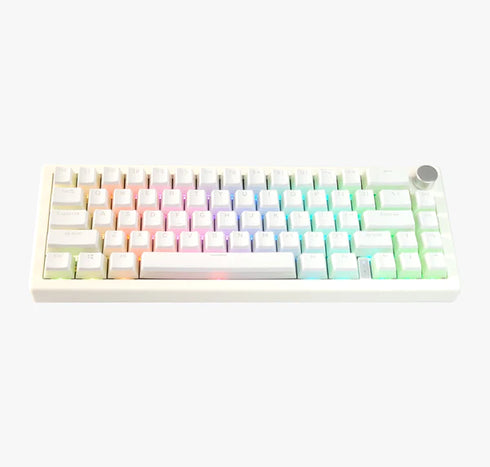Witte pudding keycaps met doorschijnende zijkanten – double shot PBT in OEM-profiel